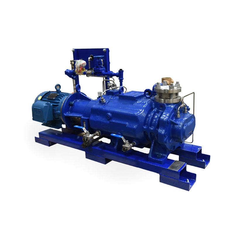 Arida stupra Vacuum Pumps